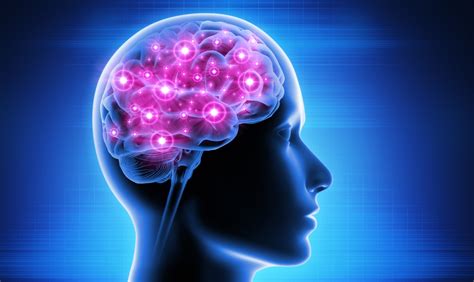 Magic Mind Nootropics: Fueling Your Brain for Optimal Performance